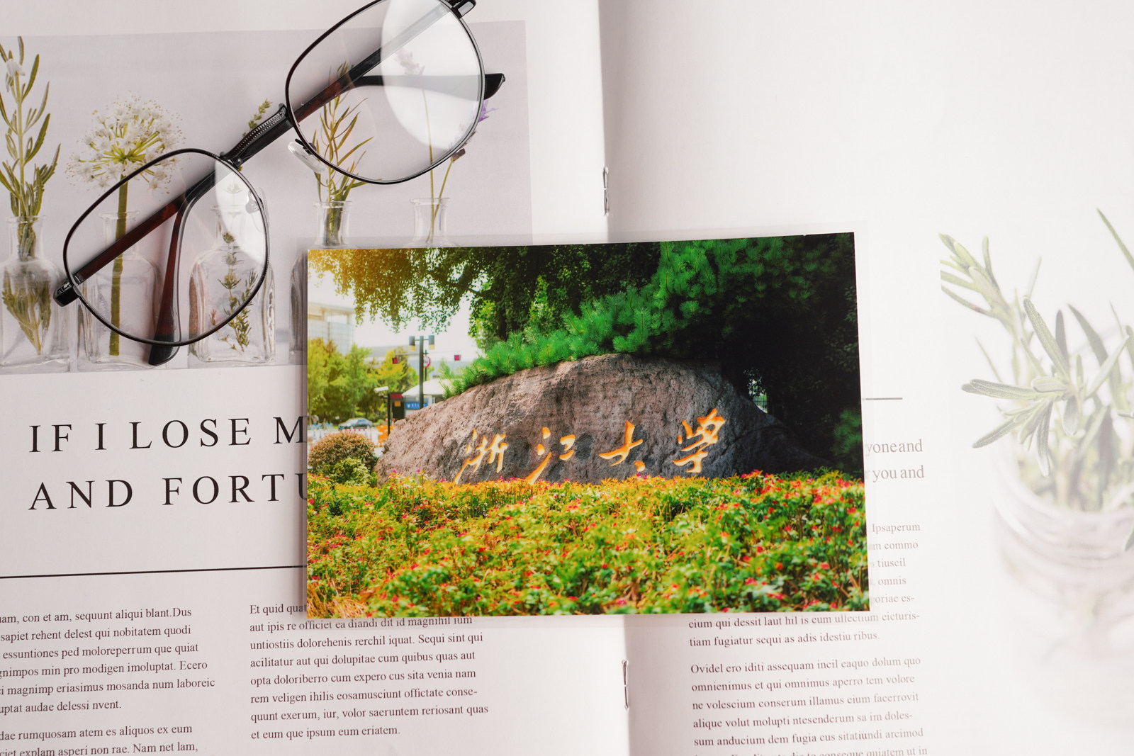 浙江大学照片 浙江大学相片 浙大照片 浙江大学塑封照相片