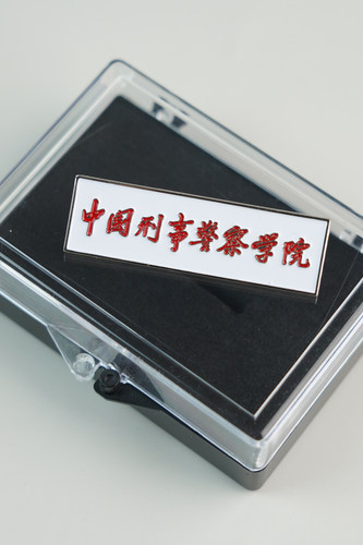中国刑事警察徽章纪念品