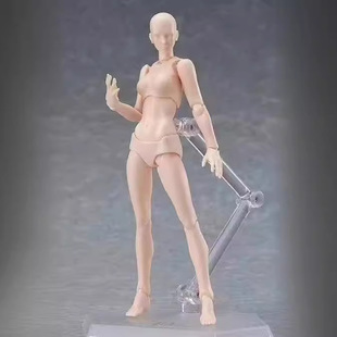 figma 2.0 素体 15周年青年版 男女素体 肤色 灰色 女橙 可动手办