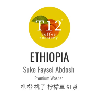 T12埃塞新产季舒克法赛尔甄选水洗浅烘精品咖啡豆手冲意式花果香