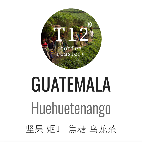 t12危地马拉薇薇特南果水洗中深烘坚果烟叶精品咖啡豆