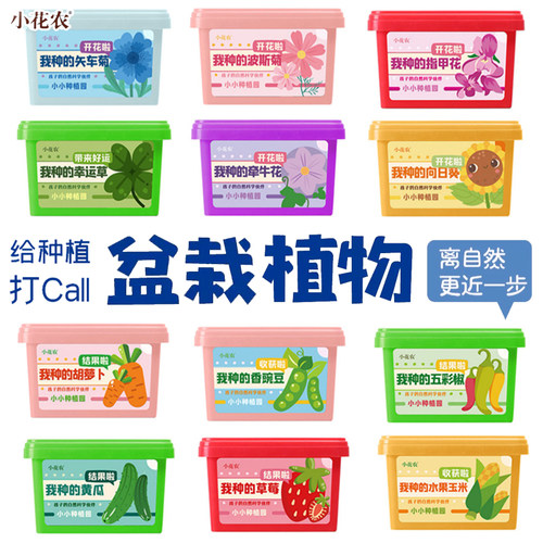小花农自种植物盆栽观察种子发芽