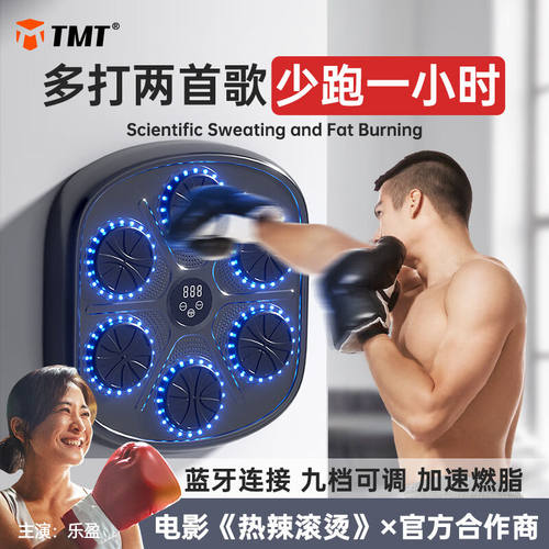 TMT智能音乐拳击机拳击墙靶电子训练打拳击机器材室内家用儿童反