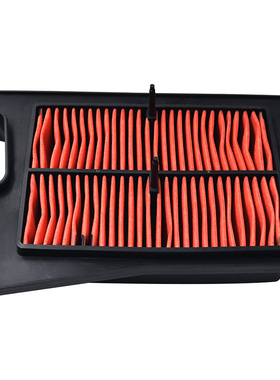 适配天浪400 AN400  天浪250 AN250  AN650 空滤 滤芯 空气滤清器