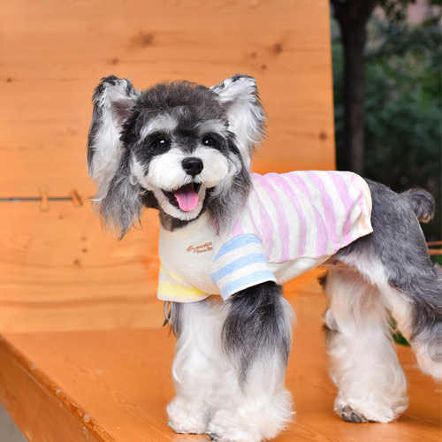一阅心田竹节毛圈拼色条纹狗狗衣服泰迪小型犬柔软弹力四脚居家服