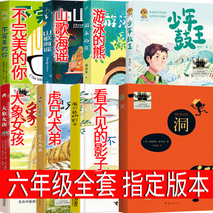 六年级课外书少年鼓王 游泳的熊 看不见的影子 大象女孩 不完美的你 山歌海谣 洞 虎兄犬弟 正版必读湖南浙江少年儿童接力出版社