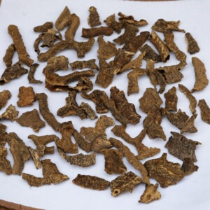 海南沉香鸡母虫漏天然料熏香