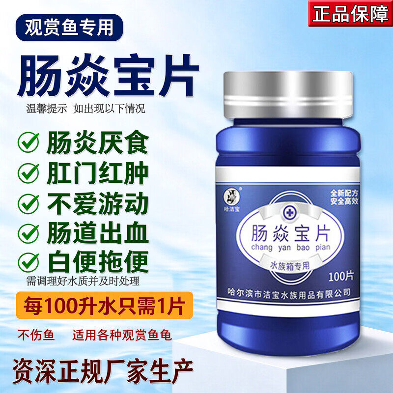 观赏鱼用肠焱宝片调理肠炎肚胀脱肛不吃食白便拖便淡海水鱼非兽药
