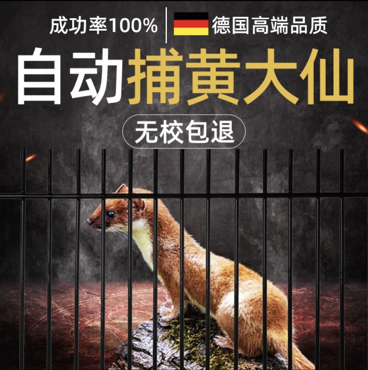 抓黄鼠狼神器捕铁笼大号老鼠夹子新款超强扑捉器捕鼠怎么抓