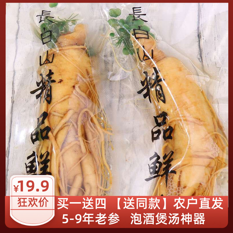 保鲜参长白山新鲜单支鲜人参袋装泡酒汤火锅专用东北特大整枝500g