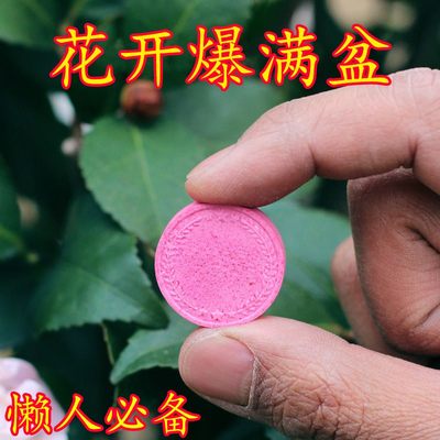 植物营养缓释片家用盆栽养花肥料