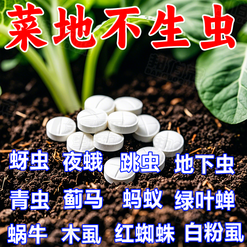 【百米无虫】蔬菜地硼肥片菜地花卉小黑飞白粉虱蚜虫菜蛾通杀