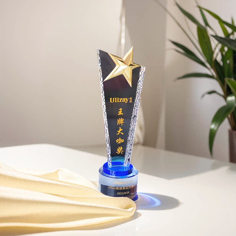 水晶奖杯逆行者订制荣誉篮足球定制五角星刻字优秀员工礼品颁奖摆