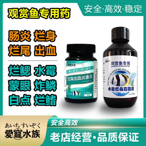 金鱼烂身烂尾白点病水霉病杀菌