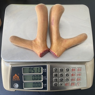 2号 珍鹿佰集东北梅花鲜鹿茸整根二杠鹿茸片角整根段泡酒料