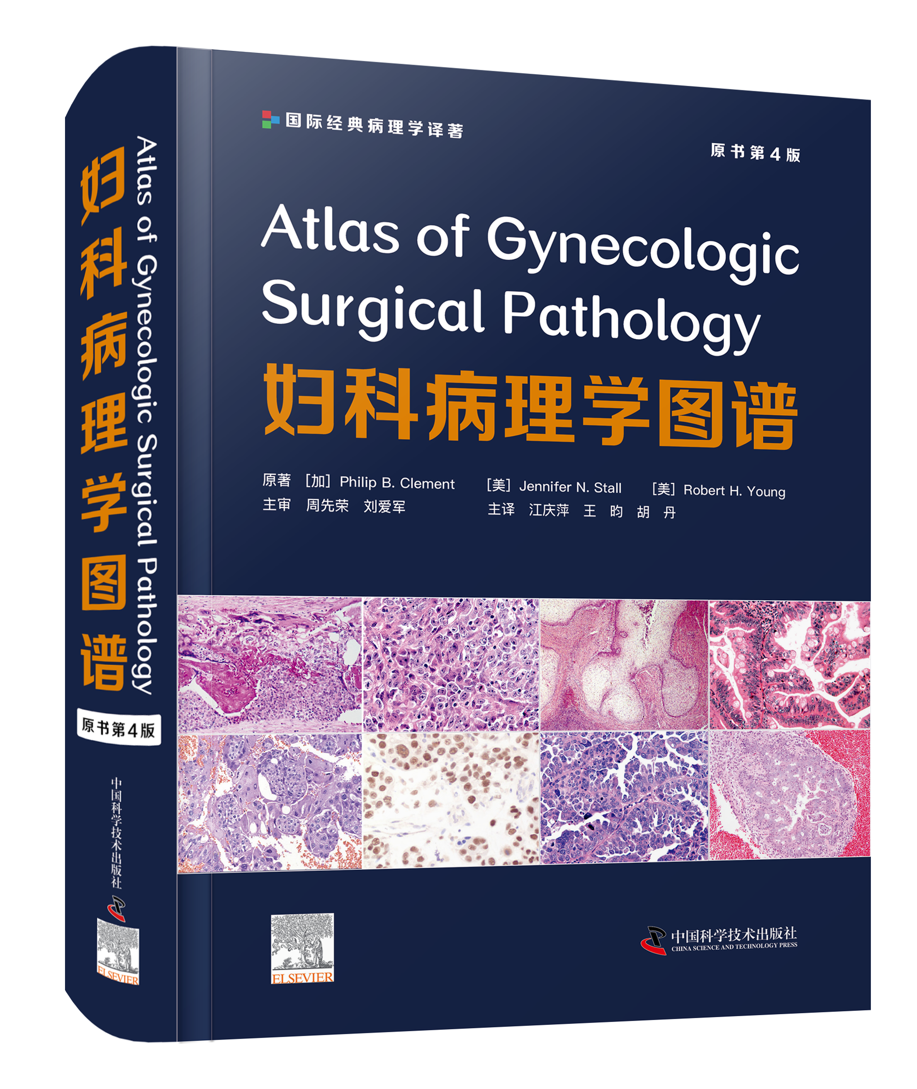 妇科病理学图谱（原书第4版） 千余张精美高清图片，更新了前沿妇科病理研究进展。 新颖、实用、全面的妇科病理诊断“教科书