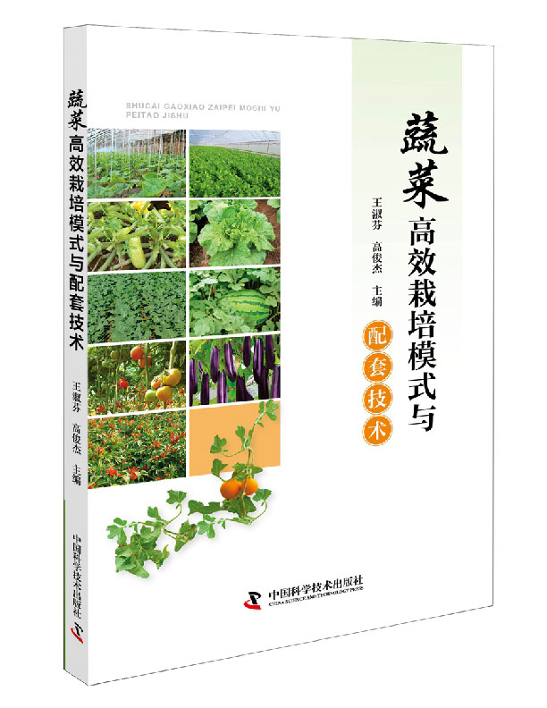 蔬菜高效栽培模式与配套技术 农业图书农业科技新农业三农图书农业农场管理技术指导