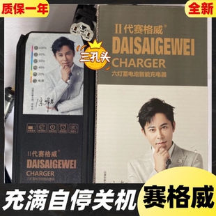 铅酸三孔 充满自停电动车充电器60V72V20二代赛格六灯脉冲智能原装