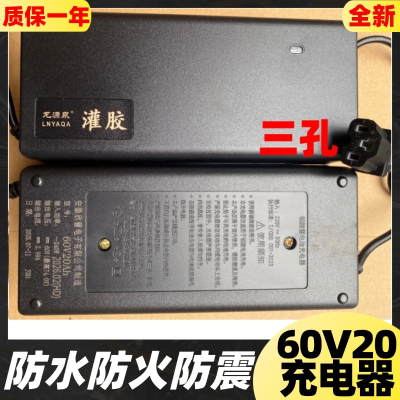 龙源泉灌胶60V20Ah电动车充电器72V铅酸二三轮车原装正品三孔品头
