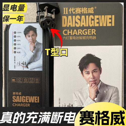 充满断电电瓶车充电器