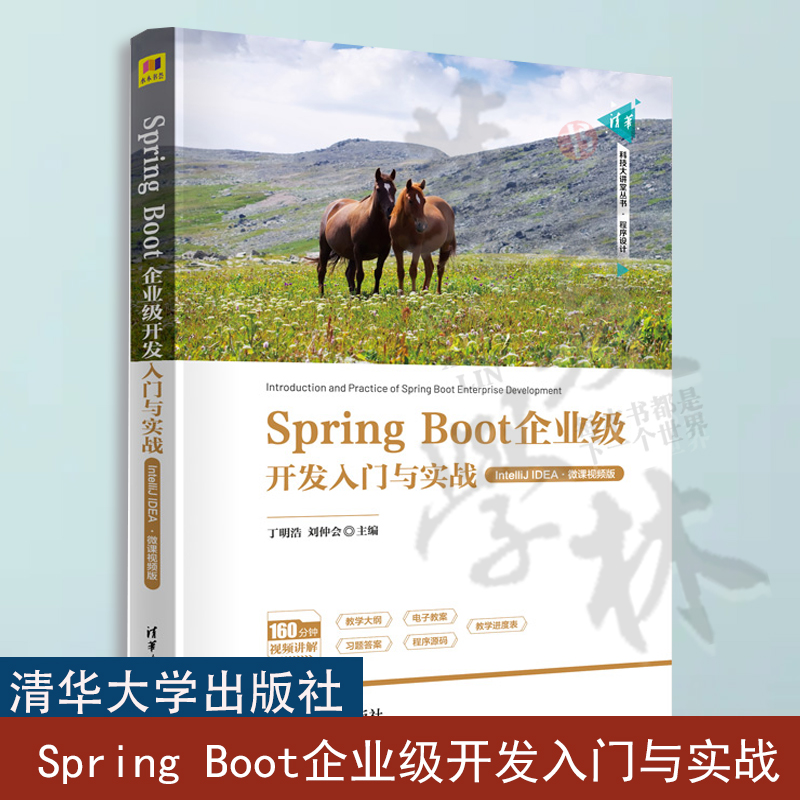 Spring Boot企业级开发入门与实战 IntelliJ IDEA 微课视频版 Spring Boot技术Web应用开发企业级应用构建部署书籍 清华大学出版社