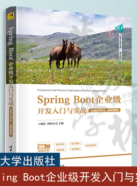 Spring Boot企业级开发入门与实战 IntelliJ IDEA 微课视频版 Spring Boot技术Web应用开发企业级应用构建部署书籍 清华大学出版社