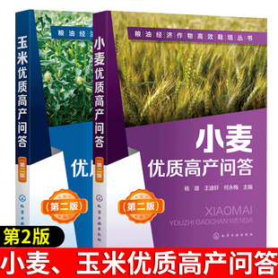 小麦优质高产问答+玉米优质高产问答 玉米种植技术书籍 玉米高效栽培种植技术大全 科学种植玉米小麦 玉米病虫害诊断