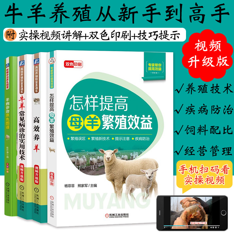 正版 怎样提高母羊繁殖效益+高效养羊+牛羊常见病诊治实用技术+羊病诊治原色图谱 养羊技术书籍大全 羊病大全 机械工业出版社
