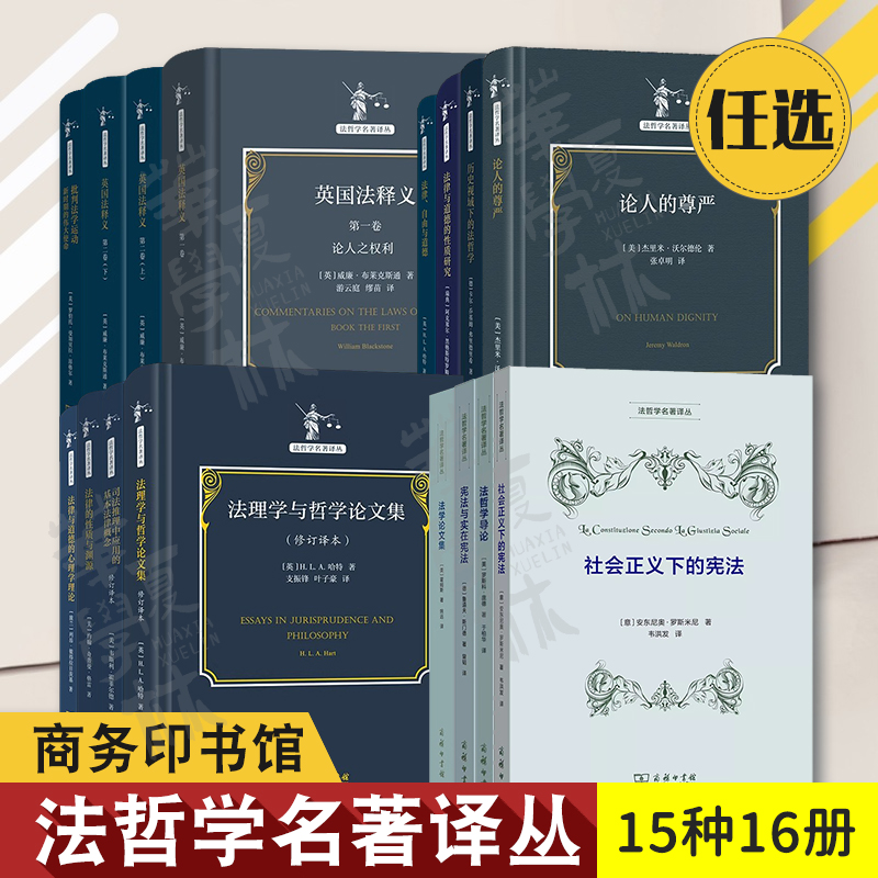 法哲学名著译丛 法律自由与道德历史视域下司法推理中应用的基本法律概念英国法释义法理学与哲学论文集法律与道德的性质研究心理