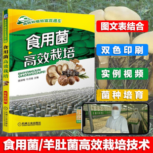 菌类农业种植技术大全书籍 生产 菌种菇种食用菌书病害防治书 液体菌种 蘑菇种植书 食用菌栽培基础知识菌种制作 食用菌高效栽培