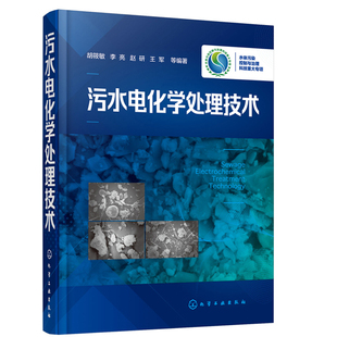 李亮 水污染治理 水环境管理 废水电化学处理技术基本原理工艺流程设计计算操作管理 胡筱敏 污水处理技术书籍 污水电化学处理技术