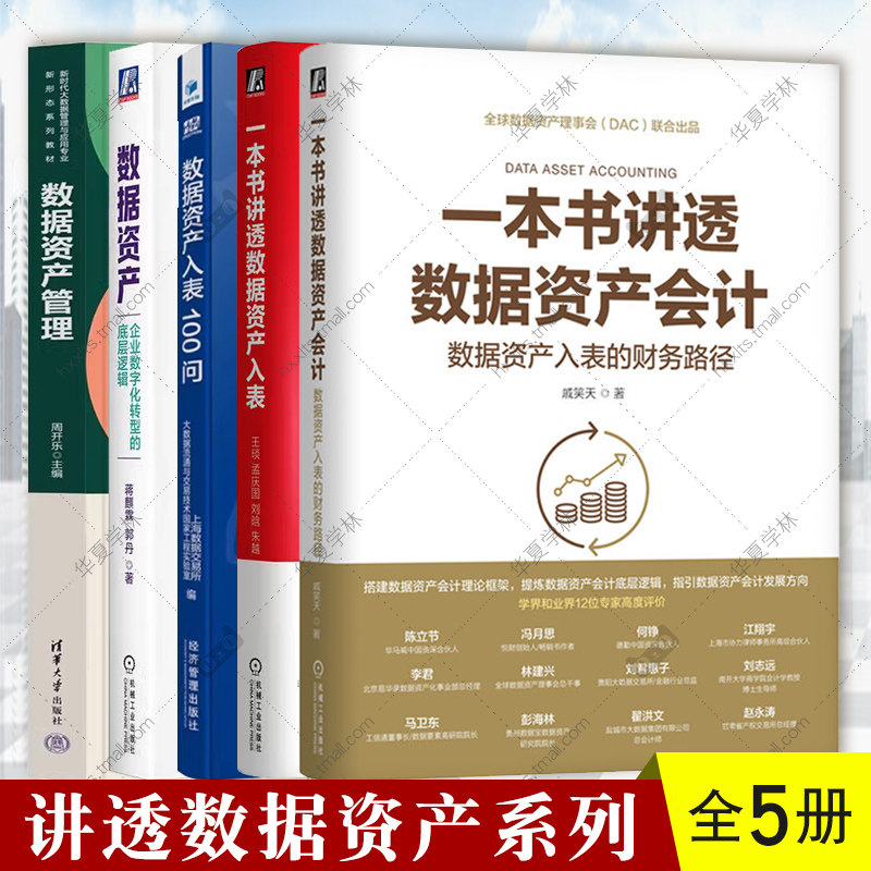 5册 一本书讲透数据资产会计 戚笑天+一本书讲透数据资产入表 王琰+数据资产入表100问+数据资产管理 周开乐+数据资产 蒋麒霖