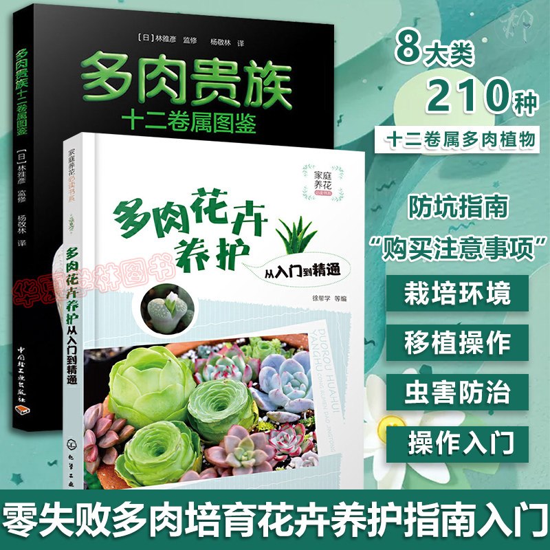 多肉花卉养护从入门到精通 多肉贵族十二卷属图鉴 零基础多肉养殖书籍 花艺家庭养花植物 花卉多肉养护知识 多肉栽培技术书籍大全
