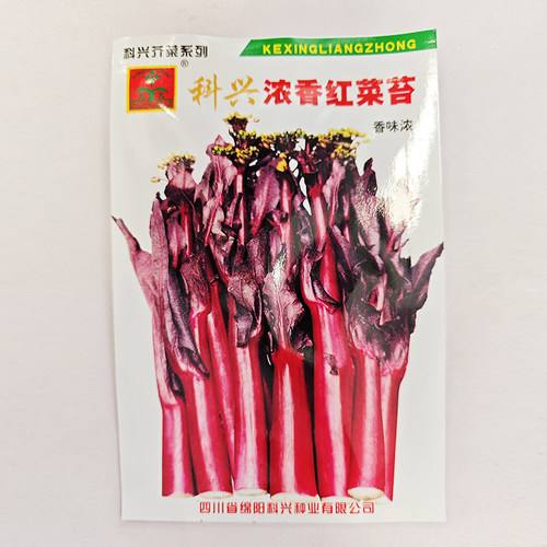 浓香红菜苔种子秋冬季蔬菜种籽