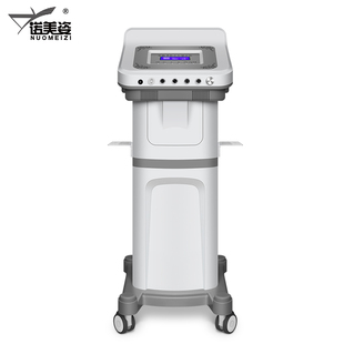 五行平衡理疗仪养生仪调理仪器身体刮痧家用丰胸精油按摩