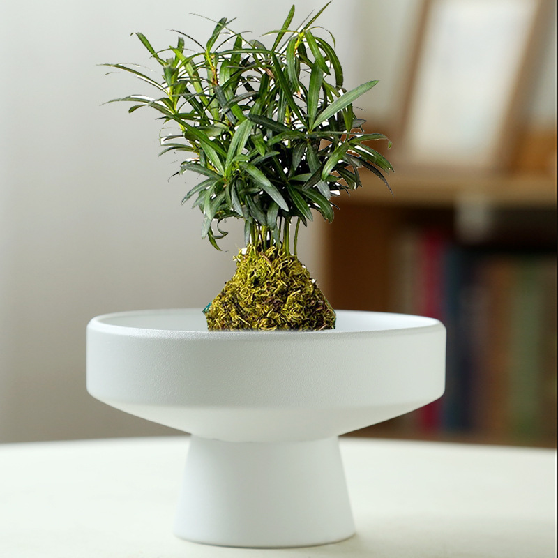 放养佛手柑托盘高颜值创意剑山插花器菖蒲苔藓球巴西木容器陶瓷盆