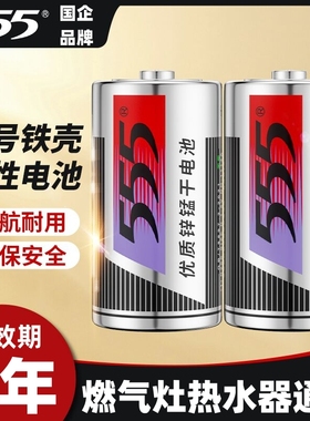 555电池1号电池D型一号大号碳性热水器煤气液化气燃气炉灶电池