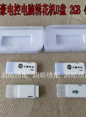 专用存蓄花样U盘大豪U盘USB2GB