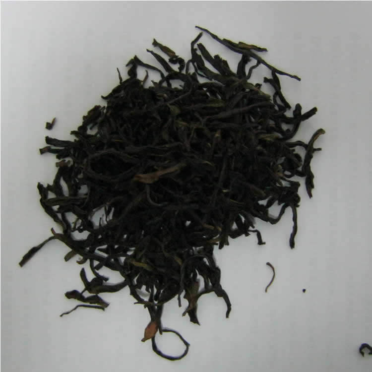 广东潮汕潮州饶平坪溪古山赤叶单枞春茶叶单从乌龙茶直销清香产地