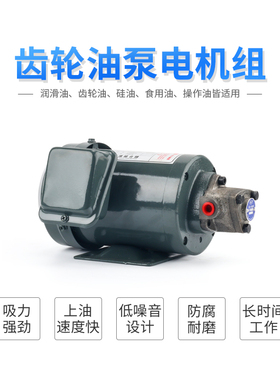 TOP-12A低噪音机油泵380V液压齿轮润滑泵三角泵摆线泵WLP油泵电机