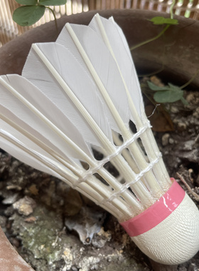 实物图 剑羽SU7鹚鸪鸭拉直全圆毛完胜蓝色诺克塞斯飞行稳定耐打