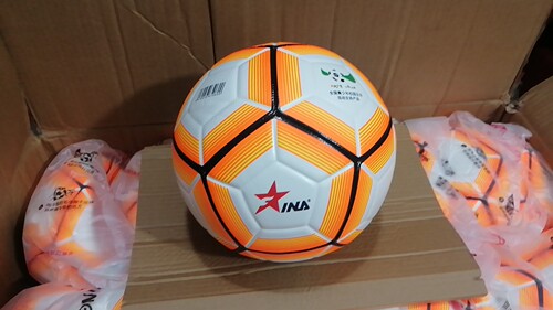正品茵浪4号5号足球PU皮耐磨防滑训练比赛中小学生中考团购优惠