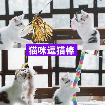 它它Touchcat逗猫棒猫咪玩具猫咪羽毛响纸互动铃铛逗猫杆