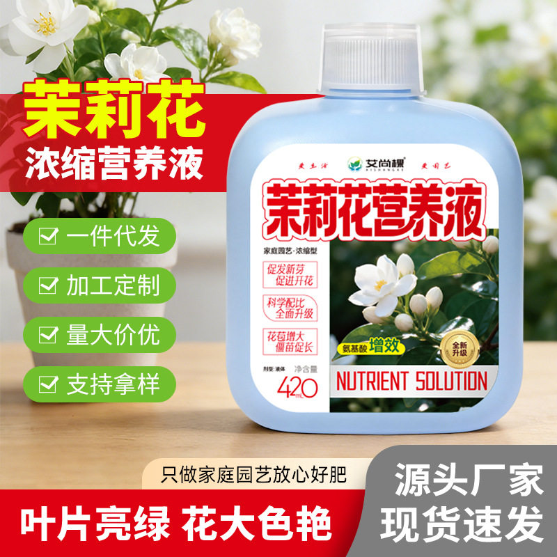 茉莉花植物盆栽绿植营养液花草花卉茉莉花盆栽源头工厂氨基酸肥料