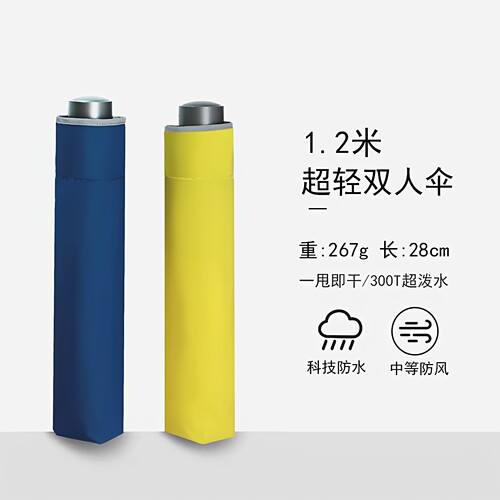 超轻加大双人伞超泼水速干