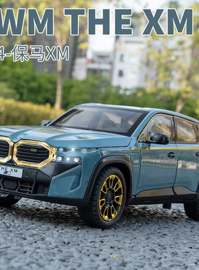 泡沫盒装金丽方1:24宝马XM合金汽车模型声光回力摆件儿童回力玩具