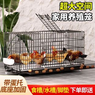 鸡笼子家用大号阳台室外农村养鸡笼鸡舍鸡窝鸭子笼鹅笼户外养殖笼