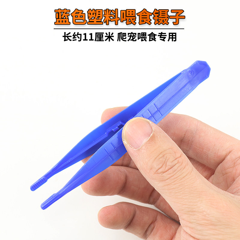 爬宠喂食用镊子爬宠水族宠物角蛙乌龟变色龙喂食夹子互动喂食镊子,宠物/宠物食品及用品,其它水族用具设备,淘宝优惠券,粉丝福利购,淘宝优惠卷