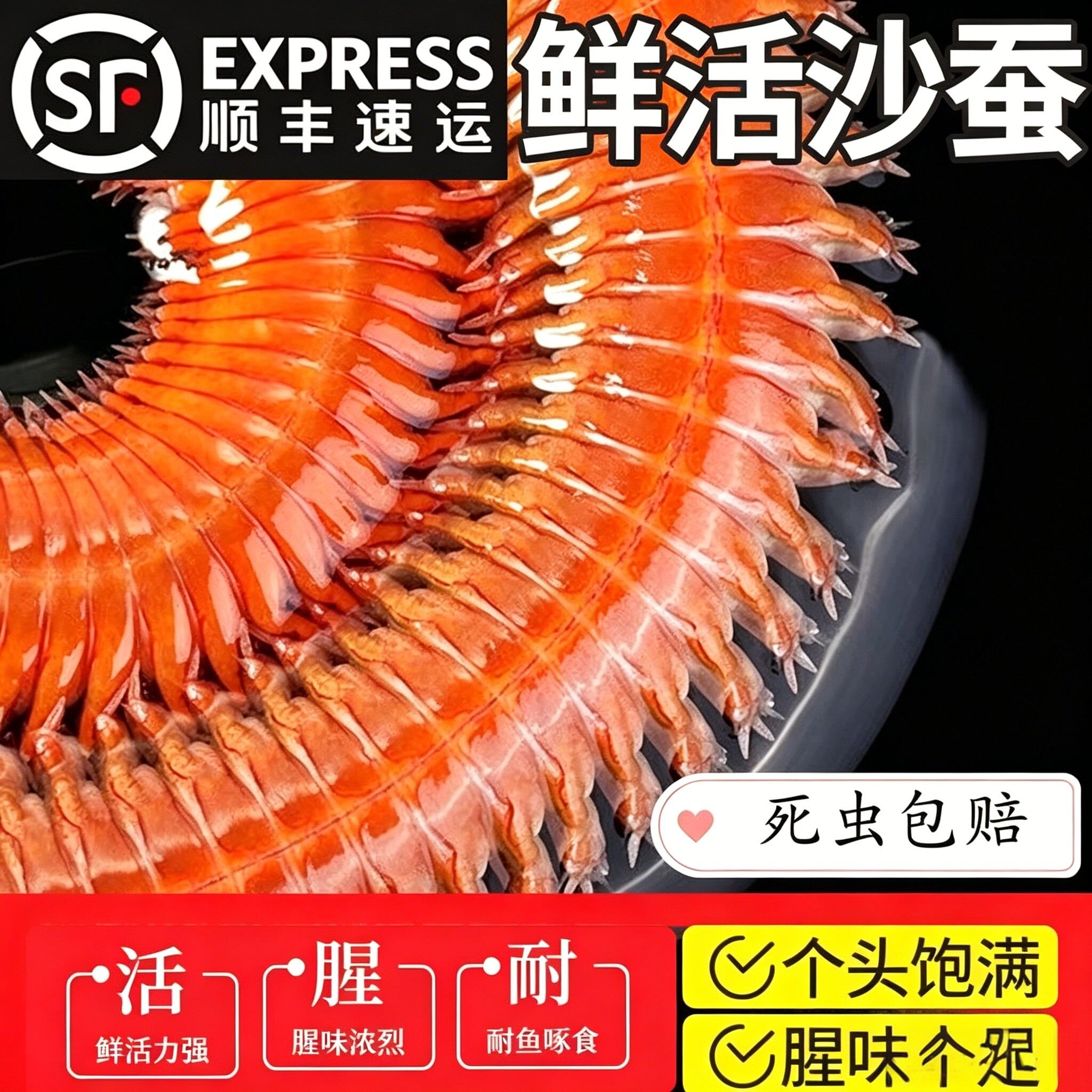 鲜活活沙蚕活饵红虫青虫海蜈蚣蚯蚓海钓鱼饵包矶钓饵料沙蝉沙虫