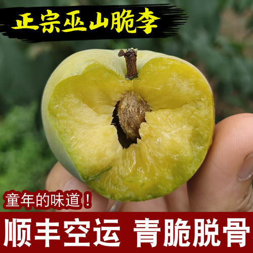 巫山脆李青脆脱骨甜李子顺丰空运